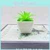 Realistic Fake Succulent Potted Plants With Pvc For Living Room And Workspace
