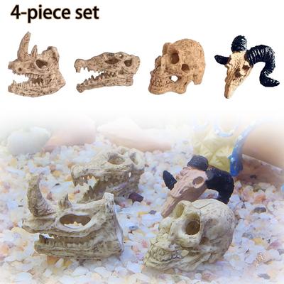 Balık & Akvaryum Hayvanları – Akvaryum dekorasyonları