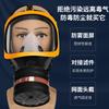 Full-Face Silicone Gas Mask: Anti-Chemical Paint Fumes & Formaldehyde Protection, Wide Vision for Safety