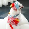 Pet Dog Chest and Shoulder Straps, Leash, Sun Hat Set, Cat and Dog Clothes, Going Out Cat