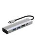 5 In 1 TYPE-C To USB3.0*1+USB2.0*1+PD100W/USB-C Data+HDMI+100M Network Card PC