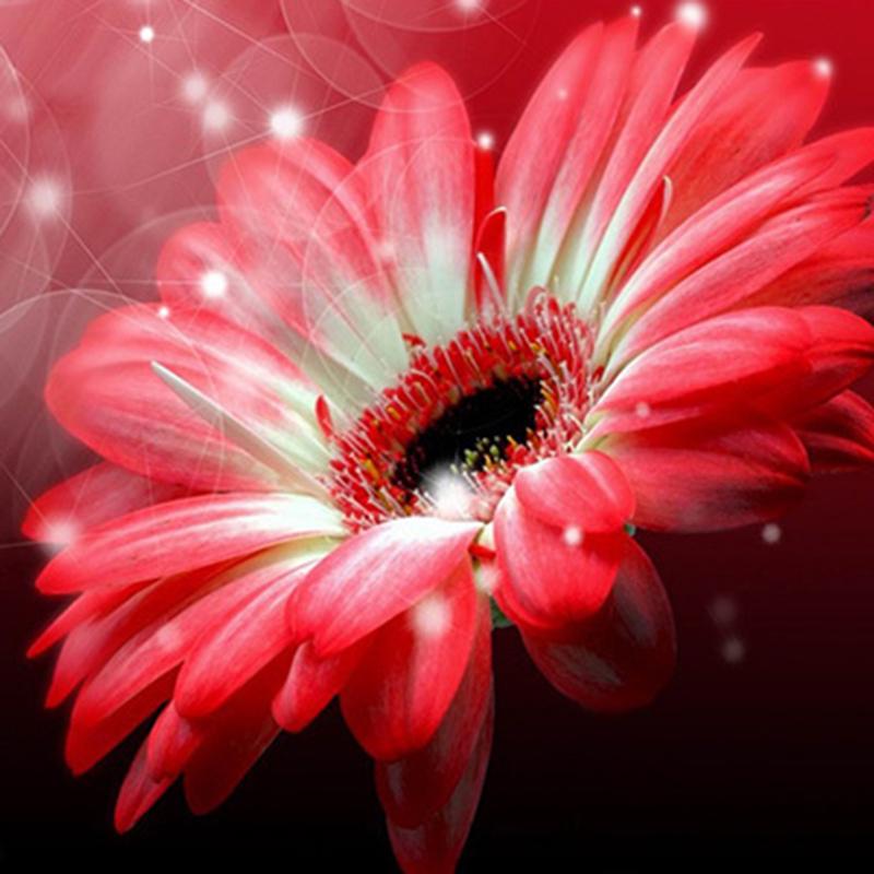 

5d алмазная живопись, полная дрель, круглые цветы, алмазная вышивка, распродажа, растительный пейзаж, стразы, мозаика, декор для детской комнаты Full Round 50x50CM серый