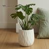 Modern Plant Containers with Saucers Planter Drainage Hole And Saucer, Water Ripple Texture Flower Pots for Patio Pot, Pot Indoor Outdoor Plants