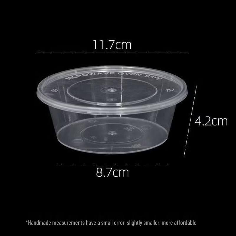 Disposable Rectangular Picnic Food Container Set