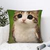 Pillow Case Classic Meowl Cat Cute Meme Comfy Pillow Cover For Sofa Couch Bed Living Room Kawaii Pillowcases
