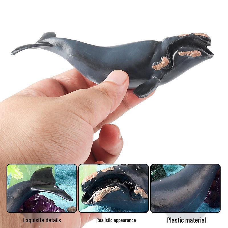 Children's Marine Animal Toy: Whale, Shark, Humpback Whale Model
