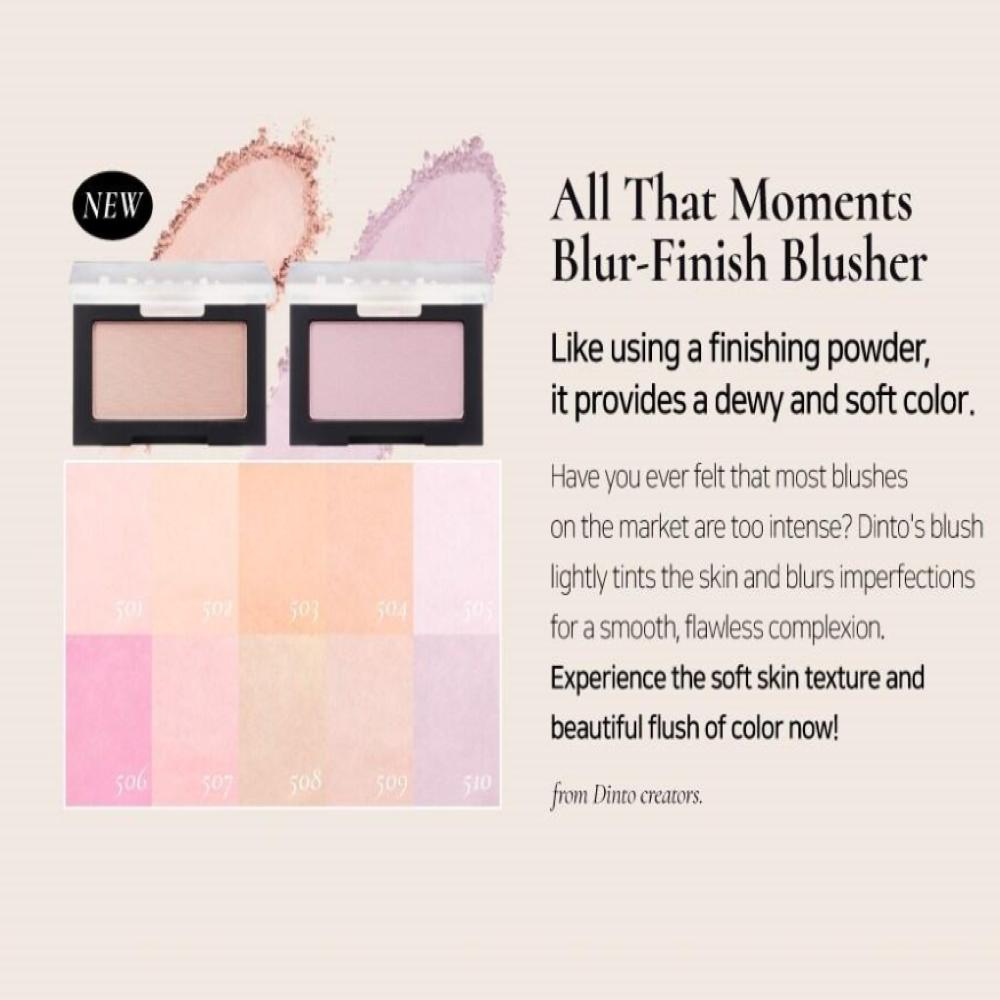 Dinto Blur Finish All That Moments Blusher 4.5g