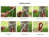 Adult Anti-rollover Thickened Hammock Chair – Indoor/Outdoor Rocking Bed for Courtyard and Dormitory Use