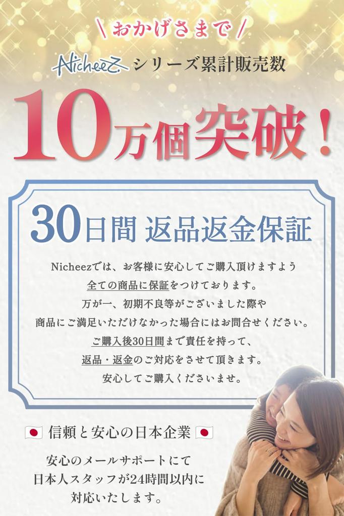 Nicheez 3D Wooden Puzzle Building Set of 8 Interior Educational Gift Kit, Dinosaurs, Model,