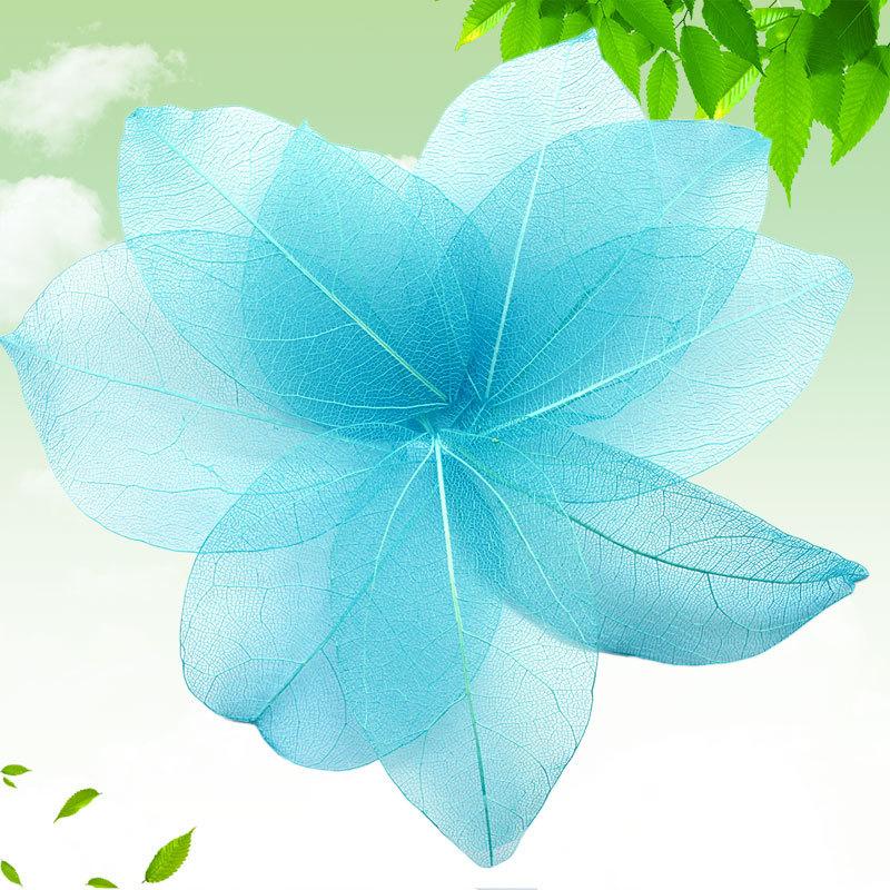 Dried Flowers Natural Skeleton Leaf Vein DIY Handmade Materials Nail Art Flowers Material for Wedding Party Home Decor-20/24pcs