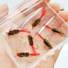 6/10Pcs(Brass Head Black Artificial Tying Fly Fishing Flies Hook & Red tail Dry fly)2Mixed Styles-Trout Dry fly Fishing Perch/Carp Lure Bait