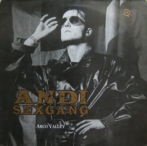 

Виниловая пластинка ANDI SEXGANG Arco Valley FREUD24 JUNGLE 1989 UK Rock Б/у