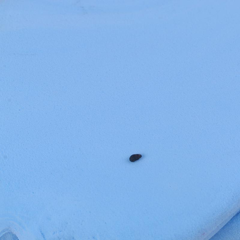 500g Super Leichter Weltraumknete-Set für DIY-Bastelarbeiten - Enthält Werkzeuge & farbige Knete für Kinder