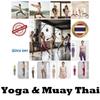 Conjunto de Top Cropped Regata e Calça Esportiva Feminina Yoga Muay Thai Boxe Treinamento de Exercício Pilates Fitness Malha Elástica de Secagem Rápida
