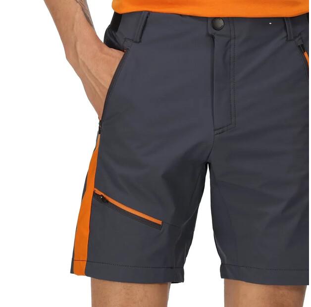 Regatta Highton Pro Shorts