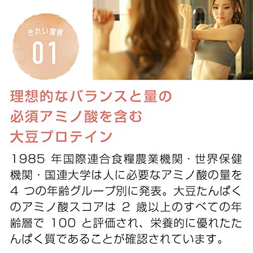 Nichie Soy Protein Powder, Plain Flavor, 100g