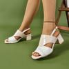 Fashion Sandals Thick Middle Heel Summer Shoes for Women Casual Outside Wear Colour Blocking Large Size Women's Shoes Peep Toe Sandales