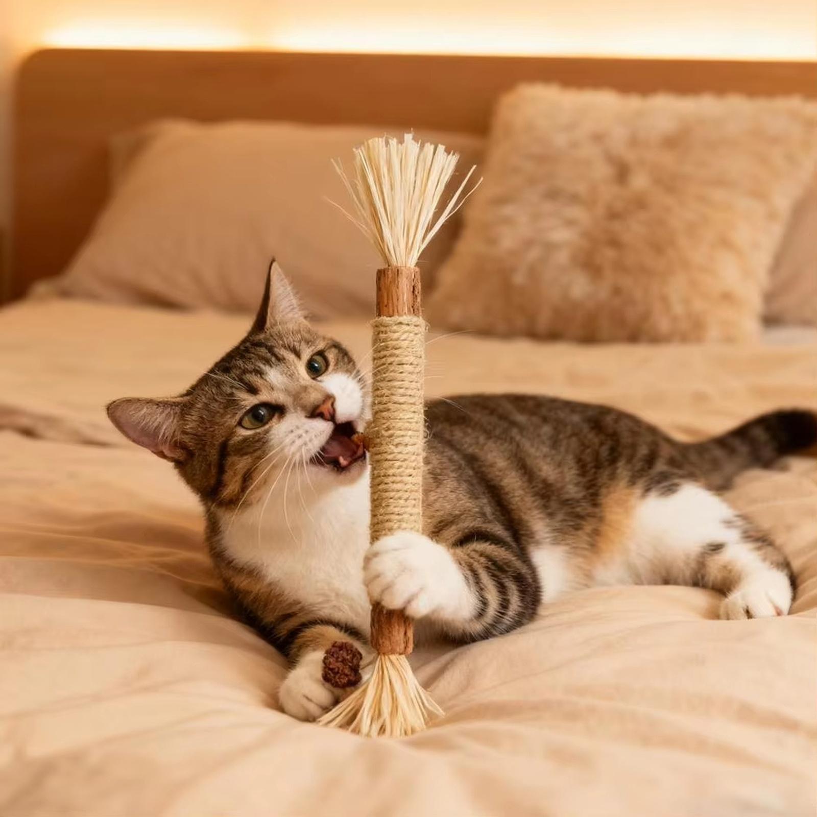 

GBSYU 5 шт. Игрушка из актинидии, Палочки из актинидии для домашних кошек, и Игрушки-грызунки для агрессивных грызунов One Size
