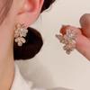 2025 Korean Style Zirconia Flower Tassel Earrings: Elegant High-End Light Luxury for Trendy Women