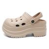 Design Sense Thick-soled Hole Shoes Women's Height Increase Summer New Fashion Outer Wear Beach Shoes Small High-heeled Sandals Women