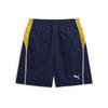 Puma Official Woven Shorts Uni Label Pack