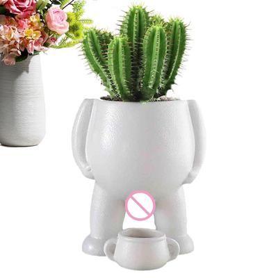 Deko & Wohnaccessoires – Dekorative Blumentöpfe