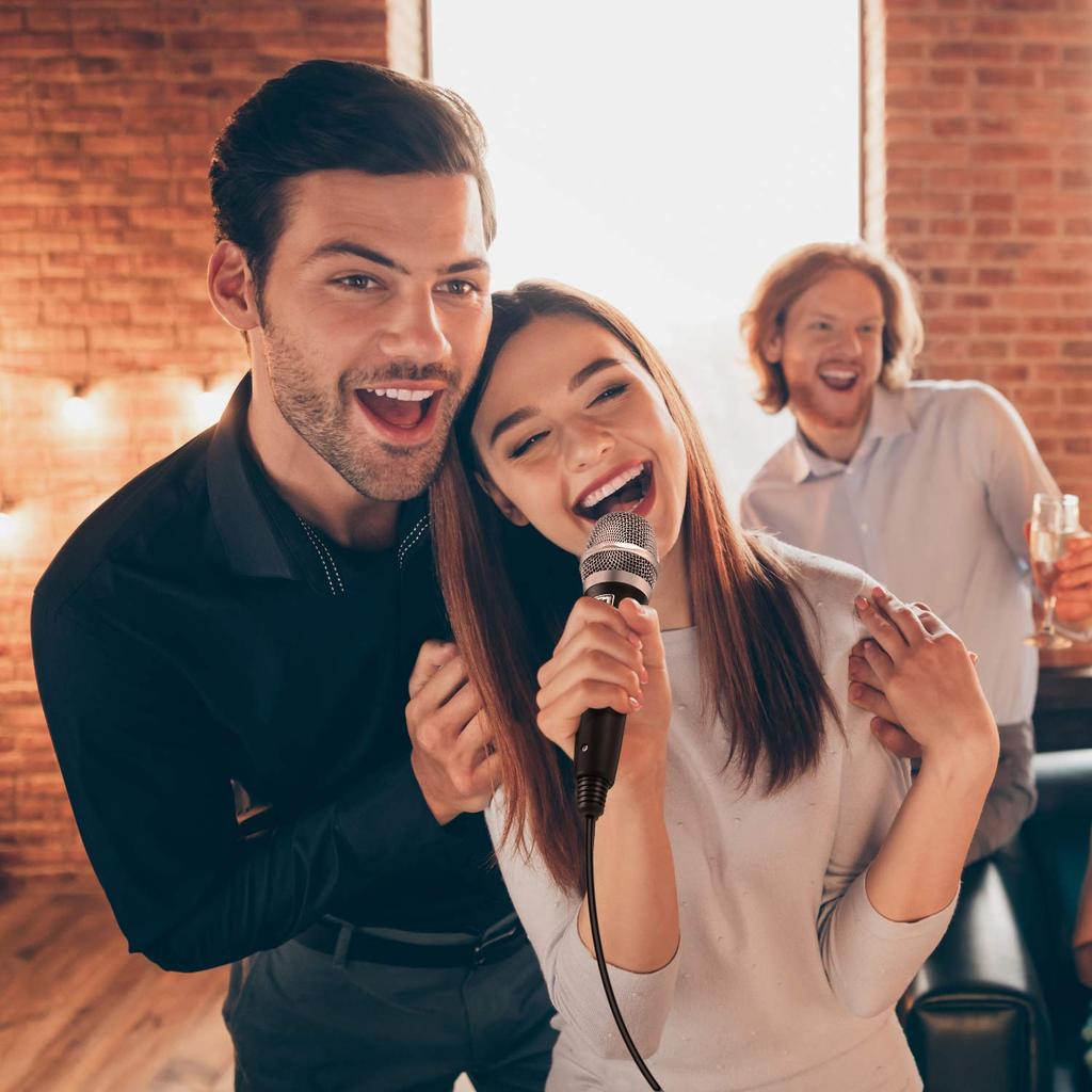 Moukey Dynamic Microphone with 13ft Cable, Metal Handheld Heart-Shaped Wired Karaoke Microphone for Singing, Stage, and Parties, Compatible with