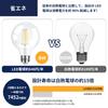 FLSNT LED Bulbs, E26 Base, 80W Equivalent, Warm White, Edison Bulb, 8W, 1055lm, 2700K, G95, Globe Bulb, Filament Bulb, Retro, High Color Rendering,