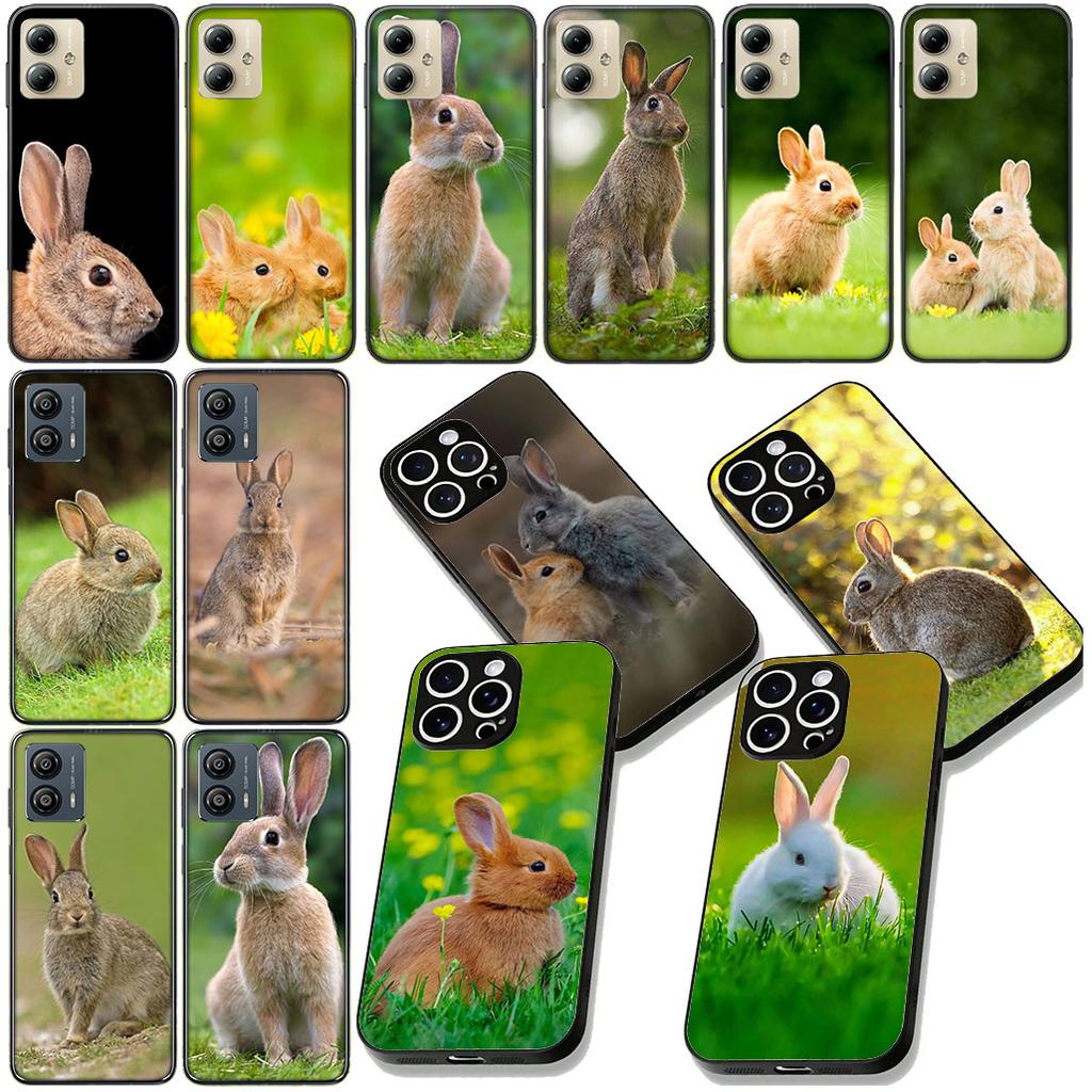 Rabbit Phone Case for Xiaomi Redmi Note 12 11 10 A3 Pro 10A 10C 12C Note12 5G Protective Cover