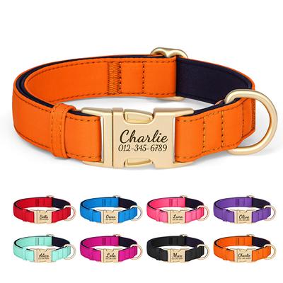 Kleurrijke Hondenhalsband Op Maat Gemaakte Nylon Hondenhalsbanden Duurzaam Huisdier Ketting Met 8 Kleuren Opgevuld voor Kleine Grote Honden Nieuwe Gravering