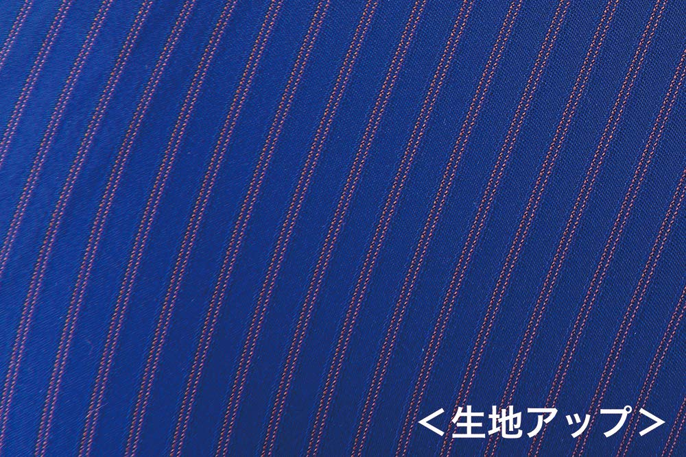 Mizuno GX SONIC IV MR Competition FINA Swimming Size N2MG920227 Women's Swimsuit, (International Federation) Approved, XL, Blue,