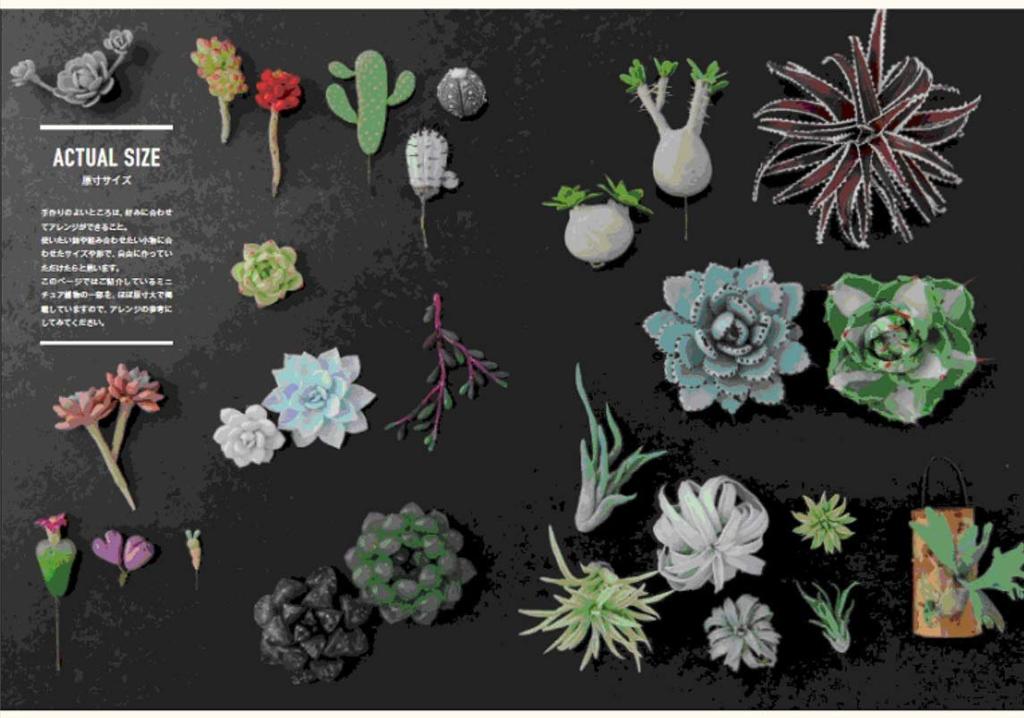 Miniature succulents made with polymer clay: Small, realistic miniatures of plump succulents and unusual plants