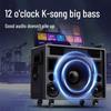 SANSUI Portable KTV Karaoke Speaker System (CN Version)