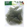 KATO Fiber Plants Green 24-553 Model Railroad Supplies