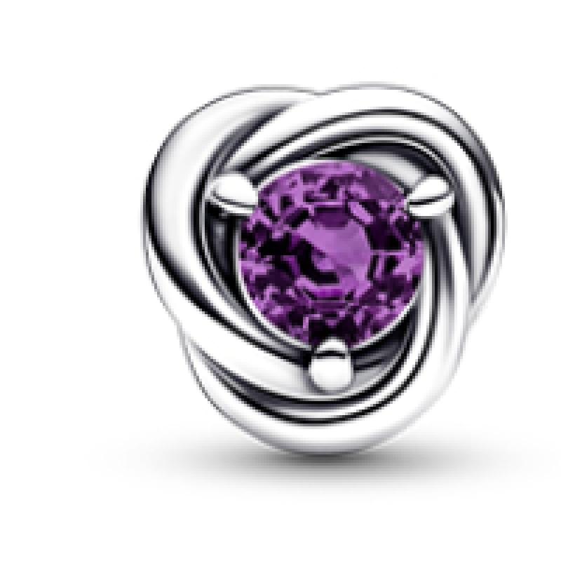 Pandora Purple Eternity Circle Stud Earrings