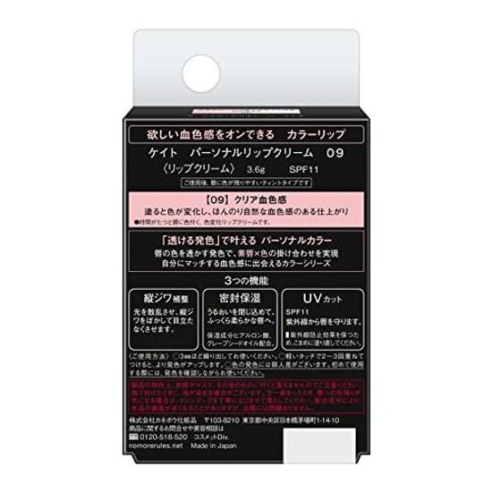 KATE Personal Lip Cream 09 3.6 grams (x 1)