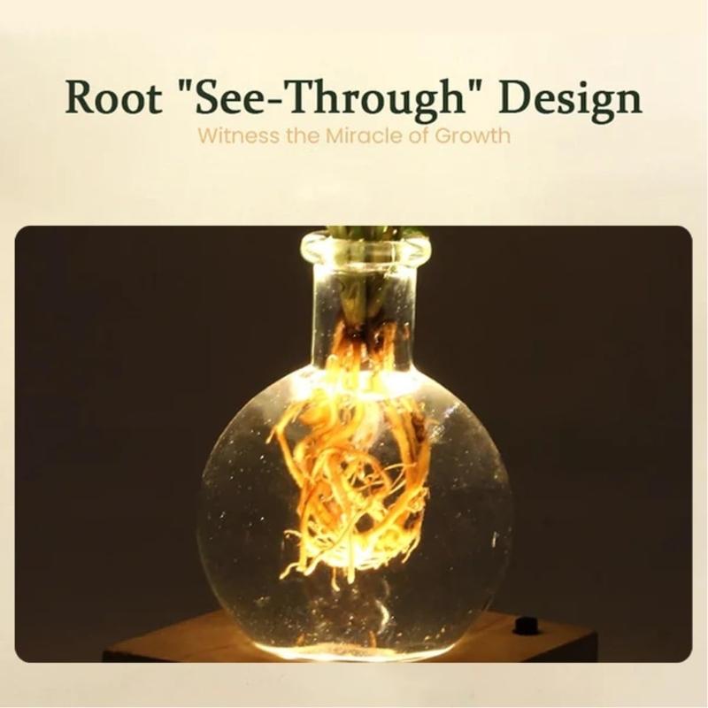 LED Illuminated Hydroponic Glass Vases For Visible Plant Root Growth Display And Ambients Night Light Decoration Home Office