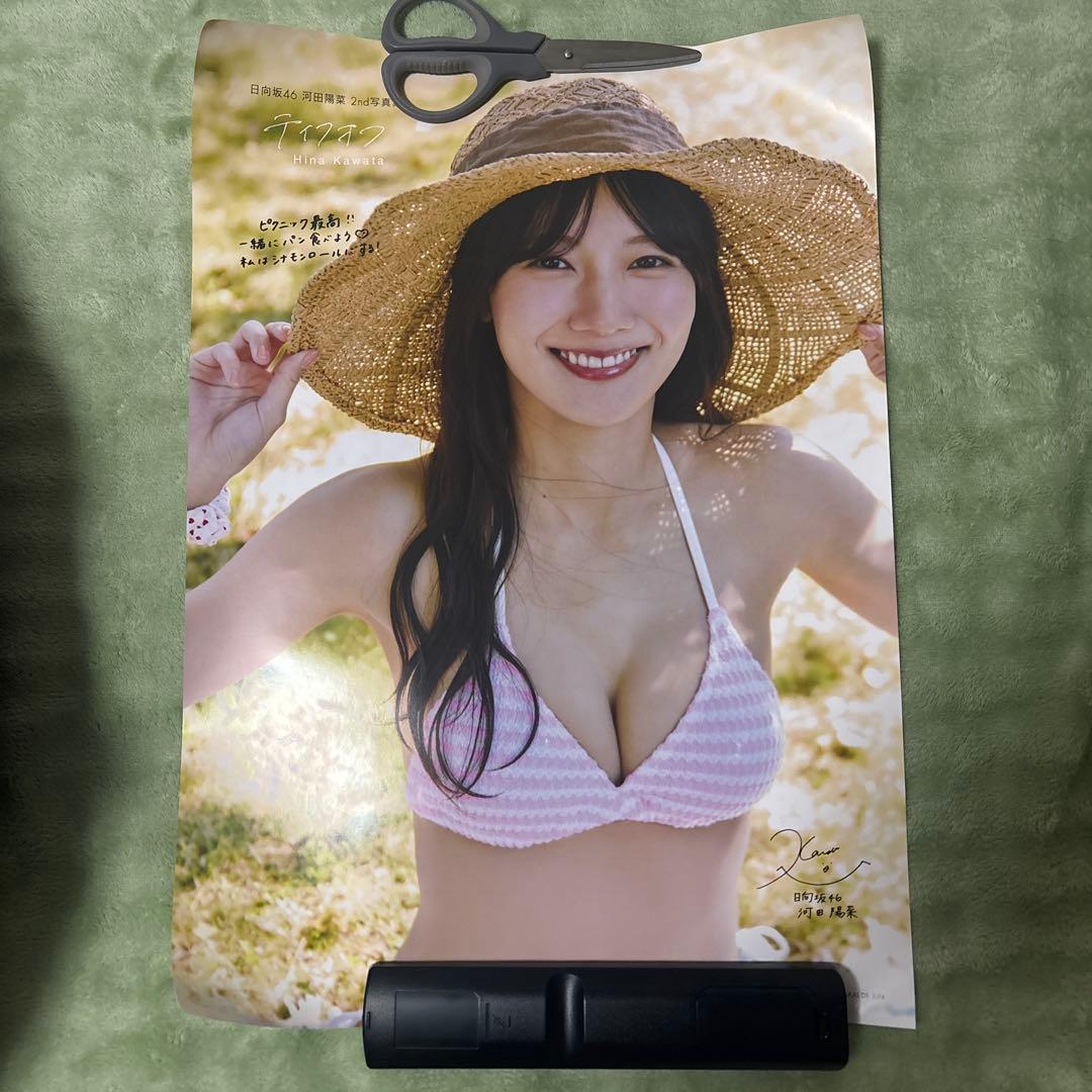 

[Б/У] Постер в подарок ко второму фотоальбому Хины Кавата