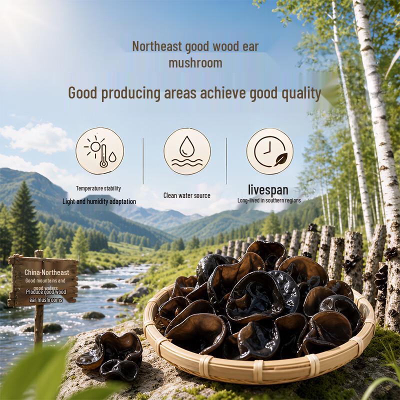Shiyue Daotian Northeast Black Fungus 500g