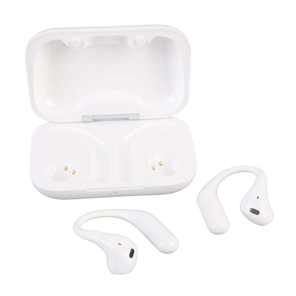 Real Time Translation Earbuds Noise Reduction Wireless Bluetooth Translator Earphones Support Multi