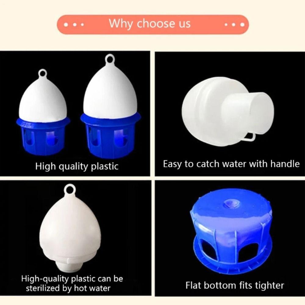 2/6/8L Distributore d'Acqua per Uccelli Mangiatoia Automatica per Piccioni Forniture per Uccelli Abbeveratoio per Piccioni Alimentazione d'Acqua