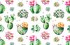 2x GLASS PROTECTIVE PLATE FOR STOVE 40x52 CACTUS