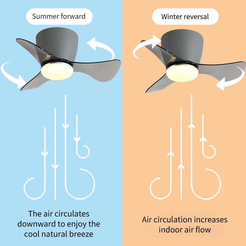6-speed Mini 22 Inch LED Ceiling Fan With Light Household Inverter Ceiling Fan Lamp Adjustable Electric Ceiling Fan Light