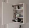 Hanging Bathroom Cabinet with Mirror Above Sink Pola 1Dl 1 Door Cashmere