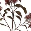 Hill Interiors Bush Artificial Flower