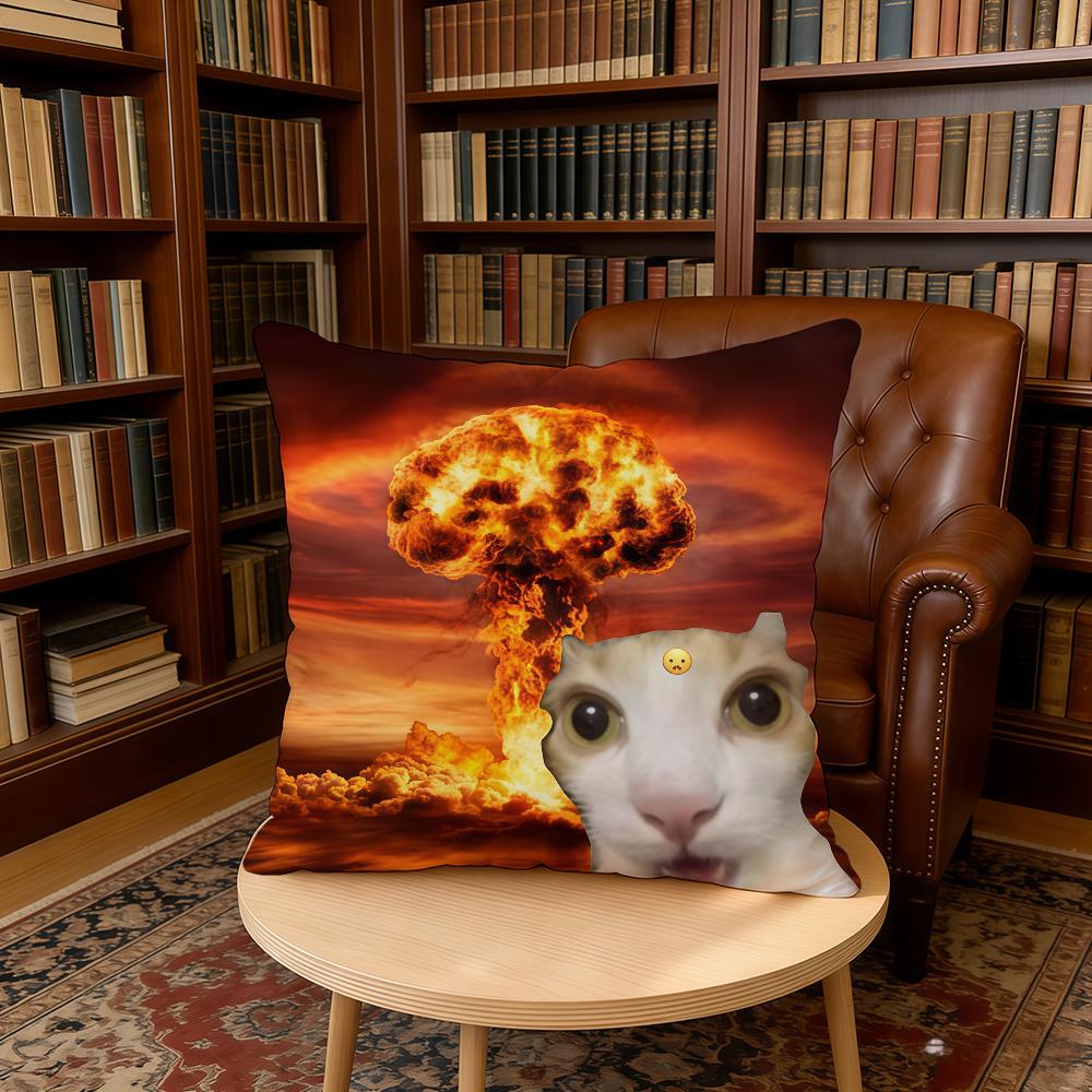Наволочка для подушки Дом Офис День Рождения Смешные Подарки на Годовщину Мягкая Кожа Дружелюбная Наволочка с Мемным Котом 30x30cm 12x12in