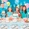 Sanrio Balloon Decoration Set Birthday Decoration Birthday Party Background Cloth Tablecloth and Other Decorations