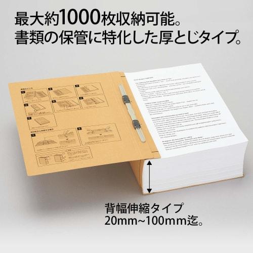 Plus Flat File Thick Binding 1000 Sheets A4 Craft 10 Book Pack 88-960