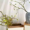 Artificial Flower No-Maintenance Long-Lasting Beauty Realistic Texture Flexible Branches Natural Zen Shape Fake Branch Home Decor