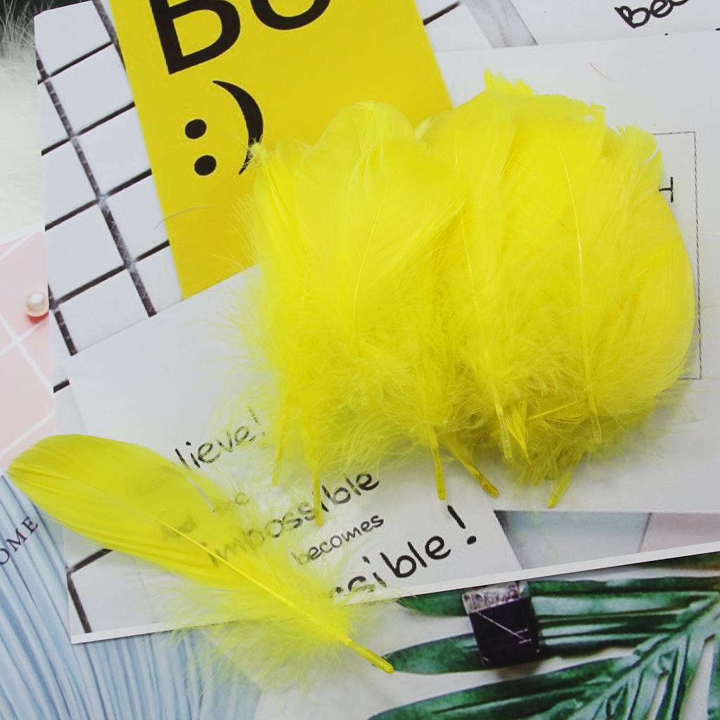 FeatherYellow Feathers for Crafts, 31 Styles Natural Pheasant, Rooster, Duck Feathers Bulk for Costume DIY, Fly Tying,Party Decoration